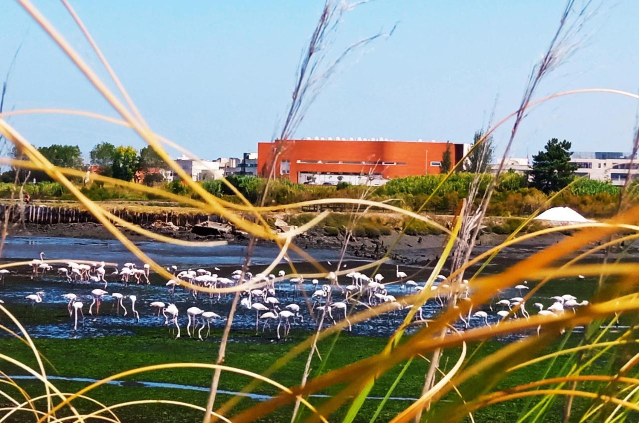 Aveiro, Ria E Arte Leilighet Eksteriør bilde