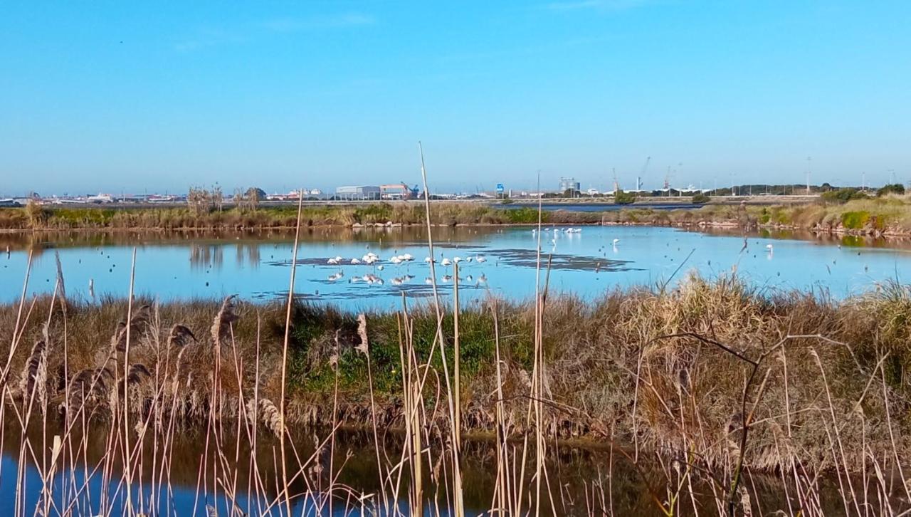 Aveiro, Ria E Arte Leilighet Eksteriør bilde